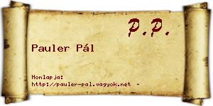 Pauler Pál névjegykártya